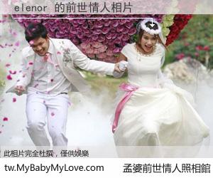 elenor 的前世情人