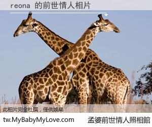 reona 的前世情人