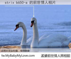 strix b650-a 的前世情人