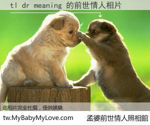 tl dr meaning 的前世情人
