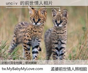 unciv 的前世情人
