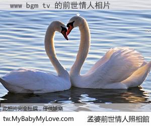 www bgm tv 的前世情人