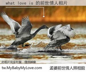 what love is 的前世情人