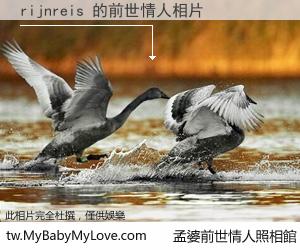 rijnreis 的前世情人