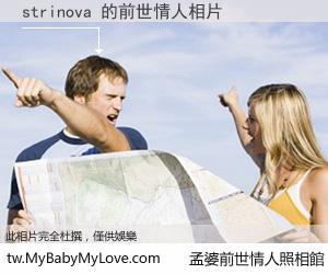 strinova 的前世情人