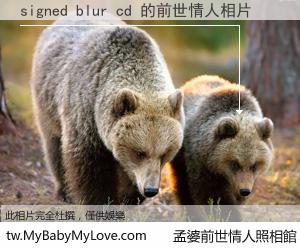 signed blur cd 的前世情人