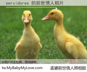 servidores 的前世情人