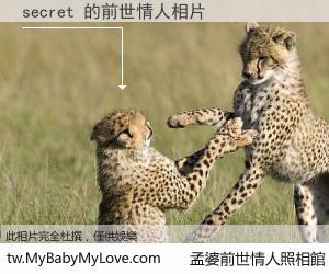 secret 的前世情人