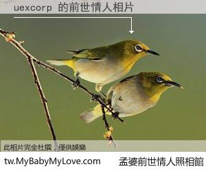 uexcorp 的前世情人