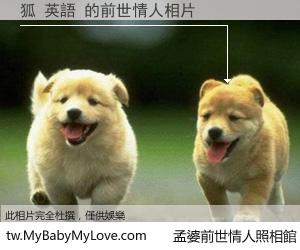 狐 英語 的前世情人
