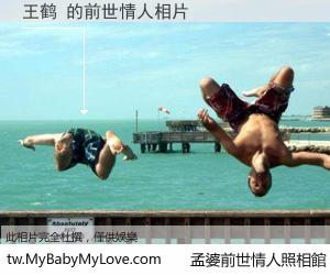 王鹤 的前世情人