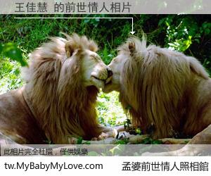 王佳慧 的前世情人