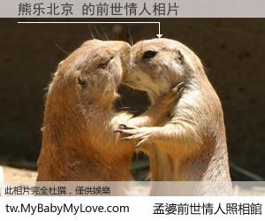熊乐北京 的前世情人