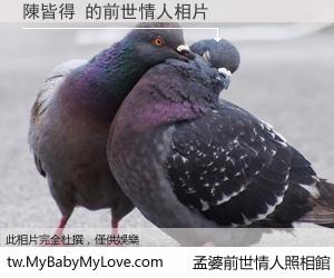 陳皆得 的前世情人