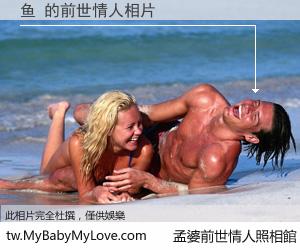 鱼 的前世情人