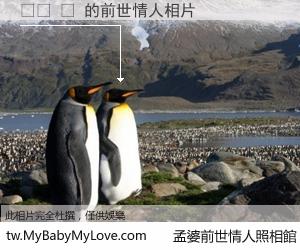 볼에 털 的前世情人