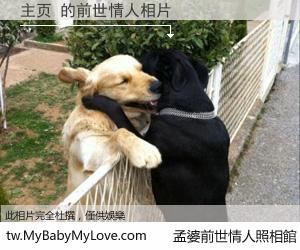 主页 的前世情人