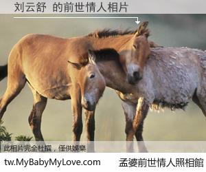 刘云舒 的前世情人