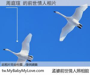 周庭瑄 的前世情人