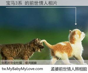 宝马3系 的前世情人