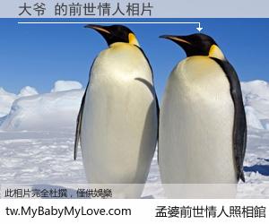 大爷 的前世情人