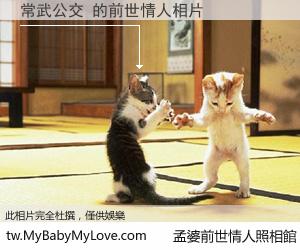 常武公交 的前世情人