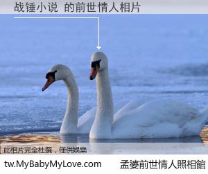 战锤小说 的前世情人