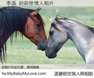 李晶 的前世情人