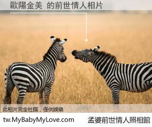歐陽金美 的前世情人