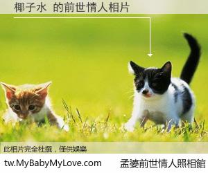 椰子水 的前世情人