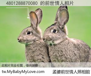 4801288870080 的前世情人