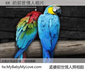 KK 的前世情人