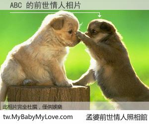 ABC 的前世情人