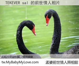 TEKEVER sal 的前世情人