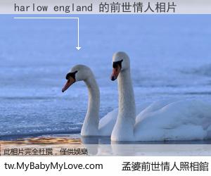 harlow england 的前世情人