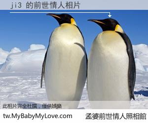 ji3 的前世情人