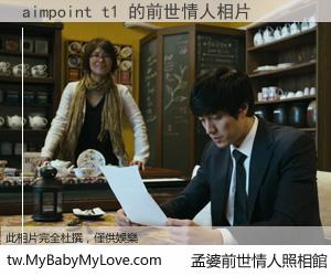 aimpoint t1 的前世情人