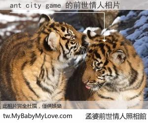 ant city game 的前世情人