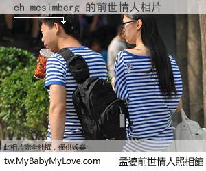 ch mesimberg 的前世情人