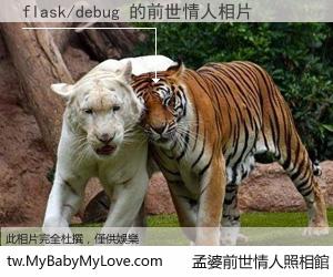flask/debug 的前世情人