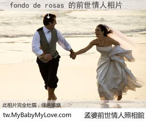 fondo de rosas 的前世情人