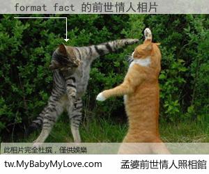 format fact 的前世情人