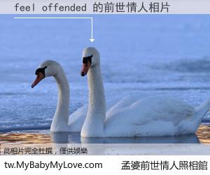 feel offended 的前世情人