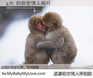 g大 的前世情人