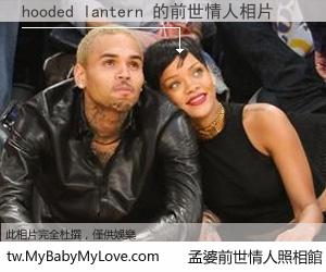 hooded lantern 的前世情人