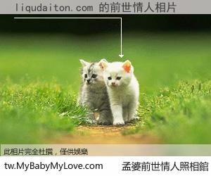 liqudaiton.com 的前世情人