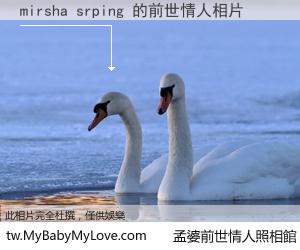 mirsha srping 的前世情人