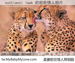 nuttianni leak 的前世情人