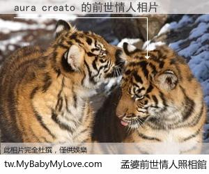 aura creato 的前世情人