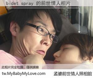 bidet spray 的前世情人